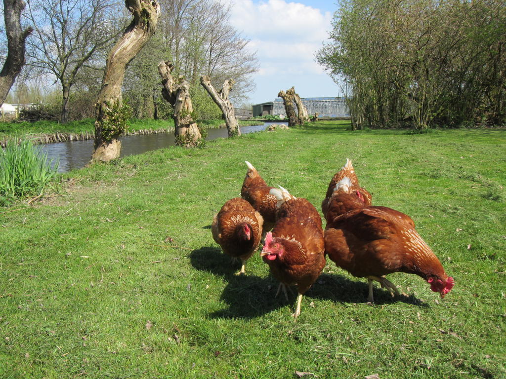 Bed&Brood De Straverdonk Graft Ruang foto
