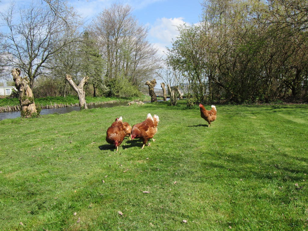 Bed&Brood De Straverdonk Graft Bagian luar foto
