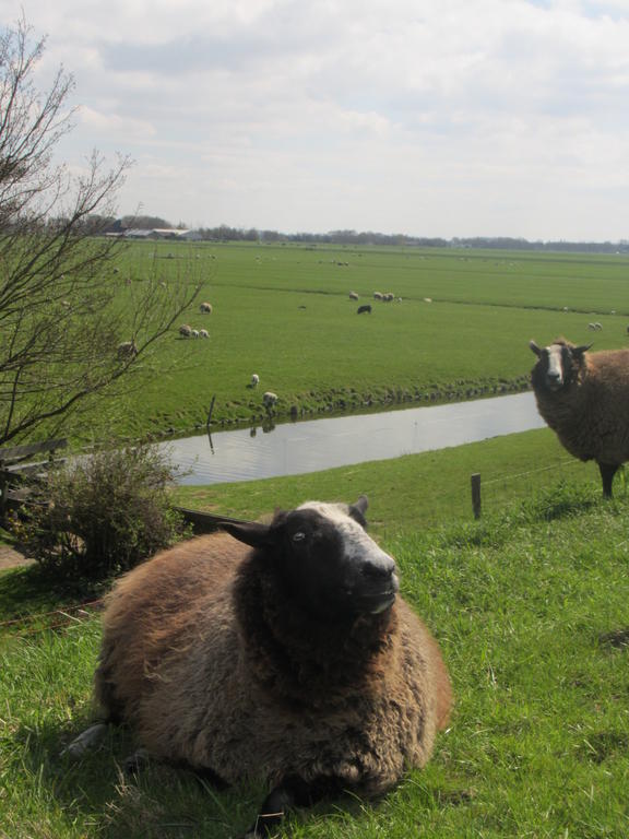 Bed&Brood De Straverdonk Graft Ruang foto