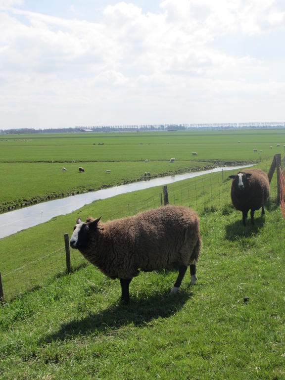 Bed&Brood De Straverdonk Graft Ruang foto