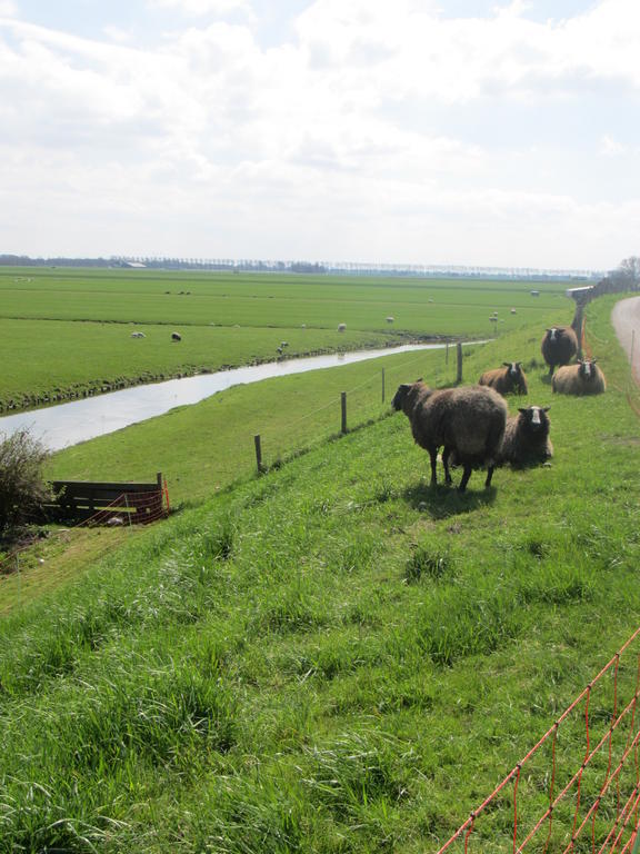 Bed&Brood De Straverdonk Graft Ruang foto