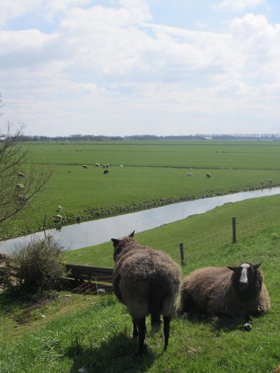 Bed&Brood De Straverdonk Graft Ruang foto